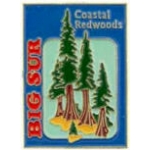 BIG SUR PIN CALIFORNIA COASTAL REDWOODS PIN